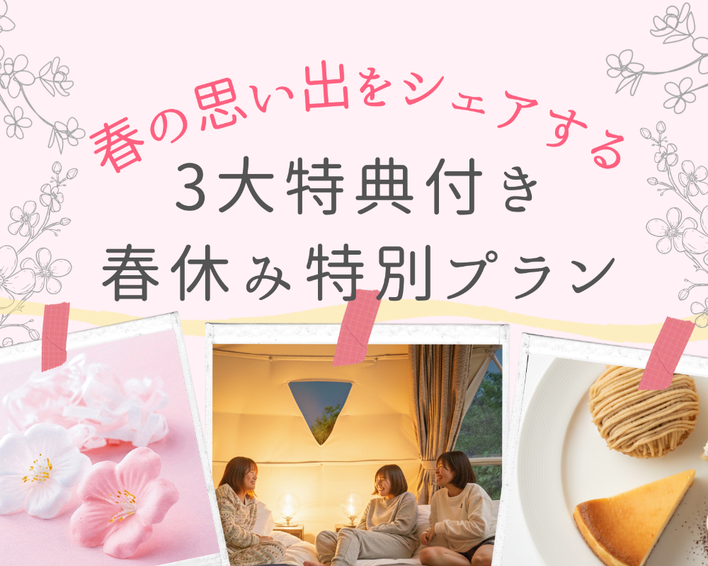 春休み特別プラン