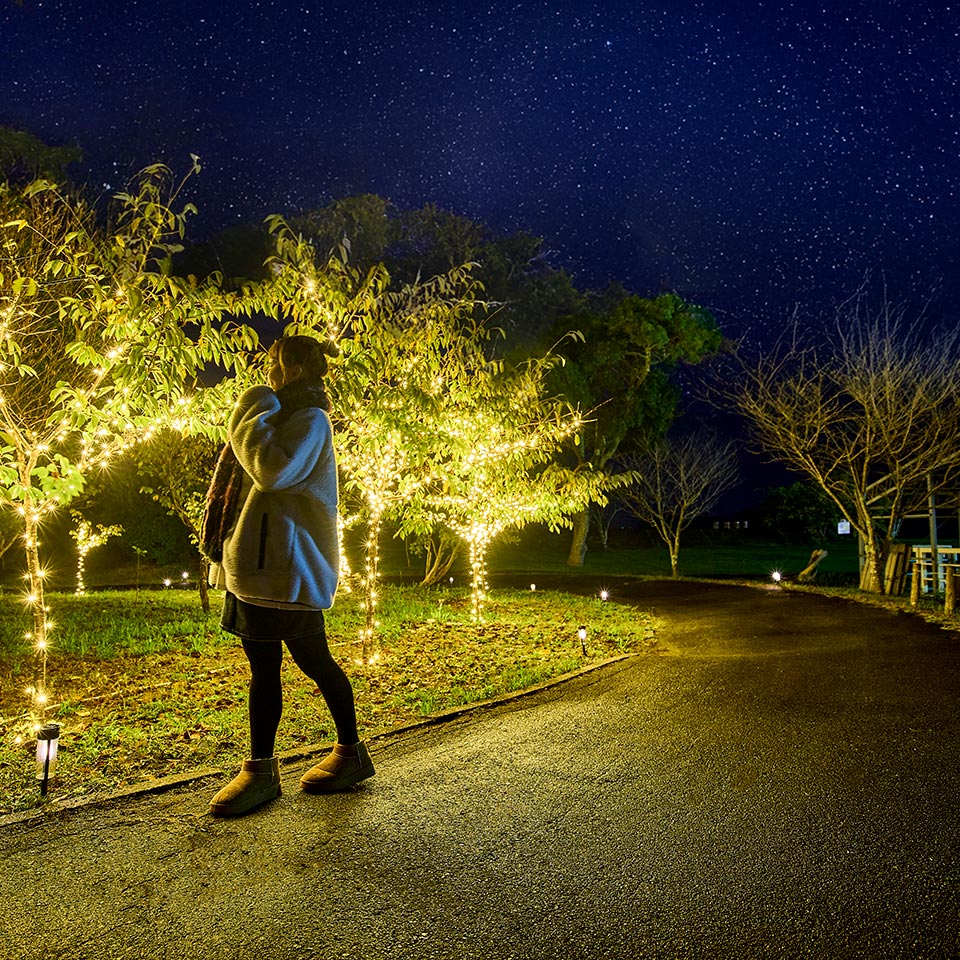 春・冬の楽しみ方