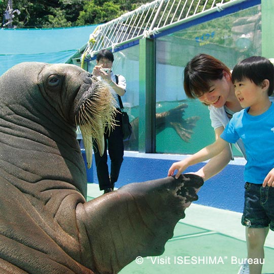 Ise Sea Paradise Aquarium